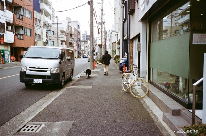 Rollei 35AF 作例