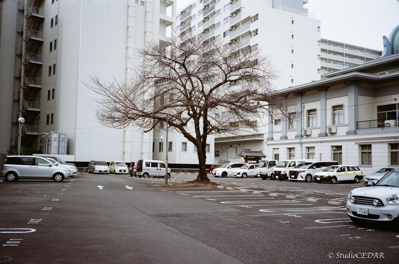 Rollei 35AF 作例