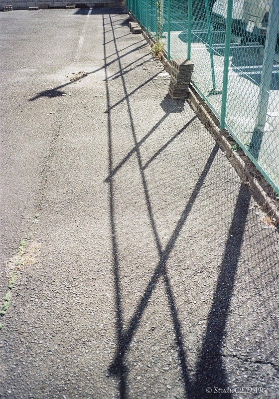 Rollei35AF 作例