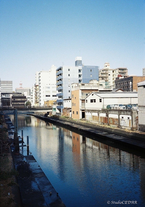 Rollei35AF 作例
