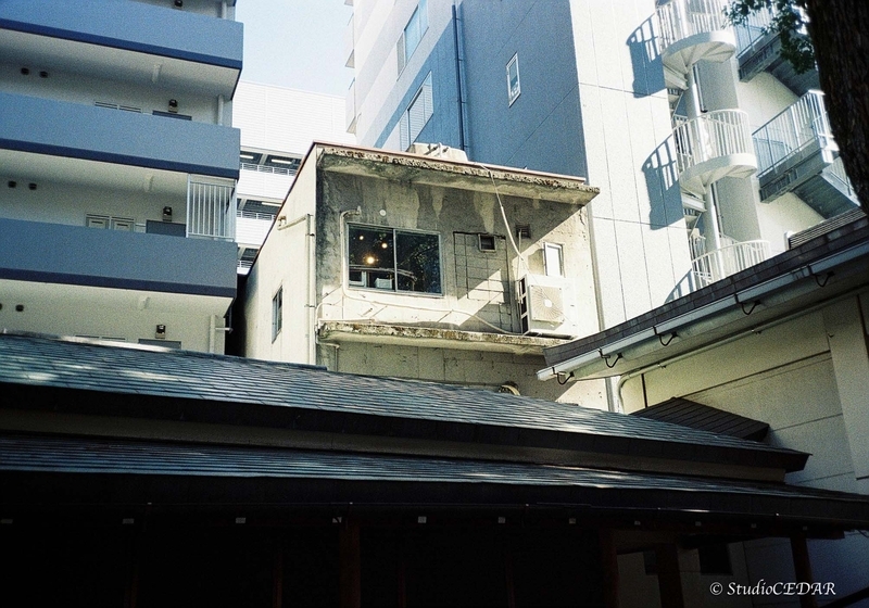 Rollei35AF 作例