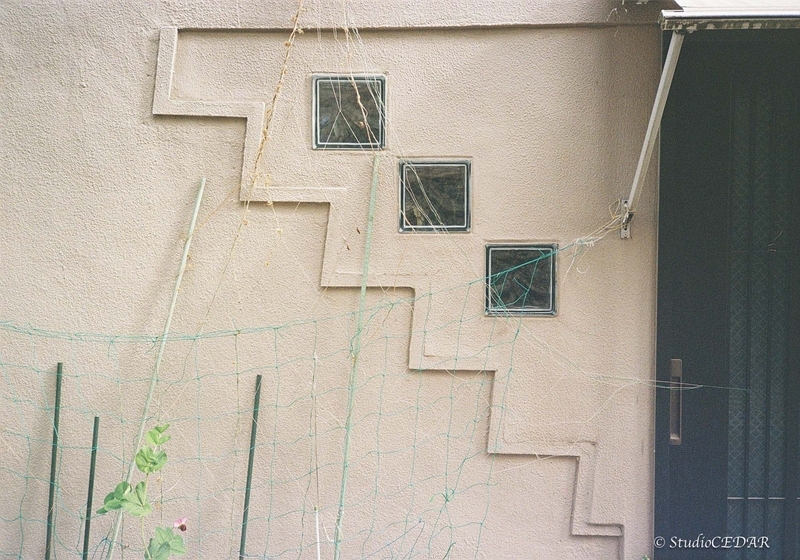 Rollei35AF 作例