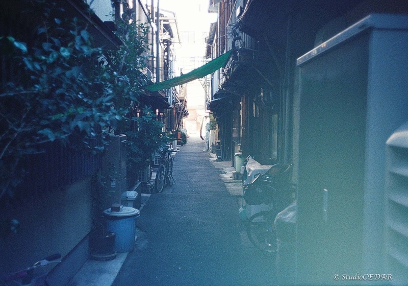 Rollei35AF 作例