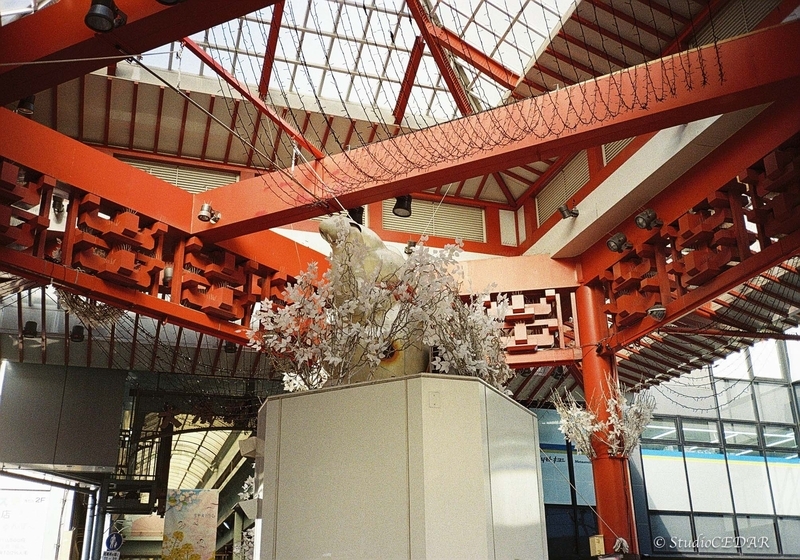 Rollei35AF 作例