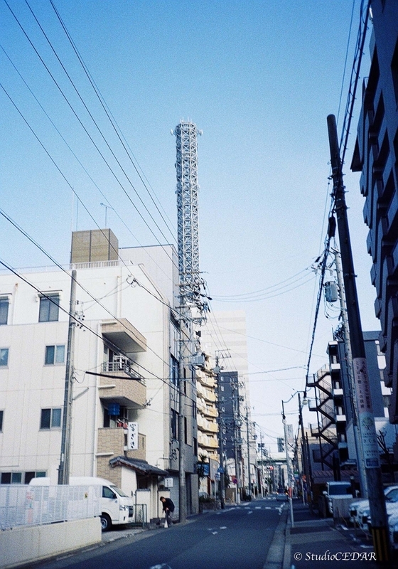 Rollei35AF 作例
