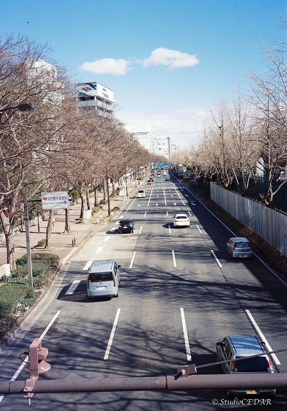 Rollei35AF 作例