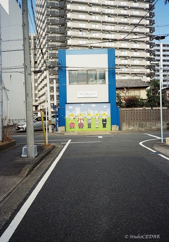 Rollei35AF 作例