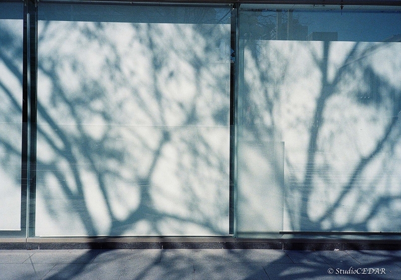 Rollei35AF 作例
