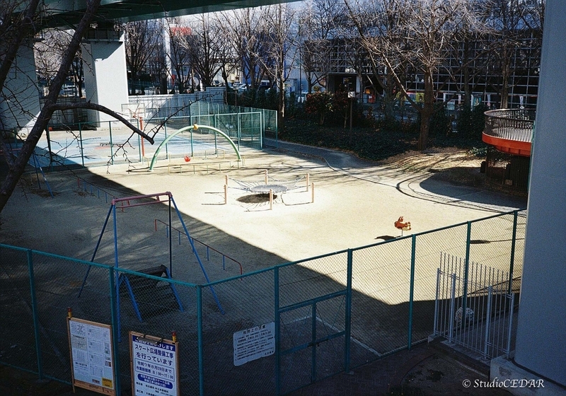 Rollei35AF 作例
