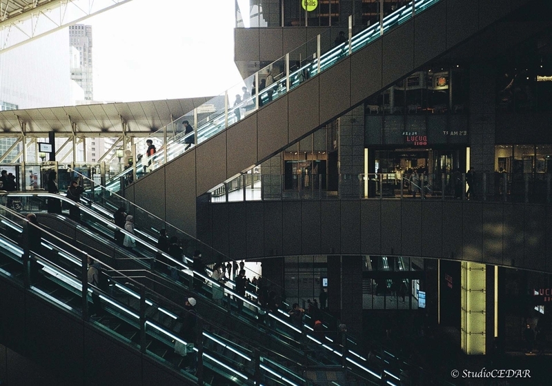 Rollei35AF 作例