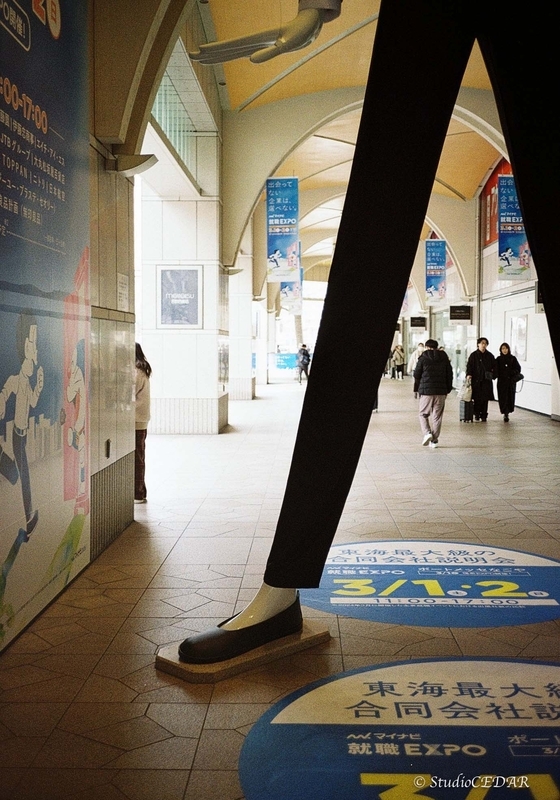 Rollei35AF 作例