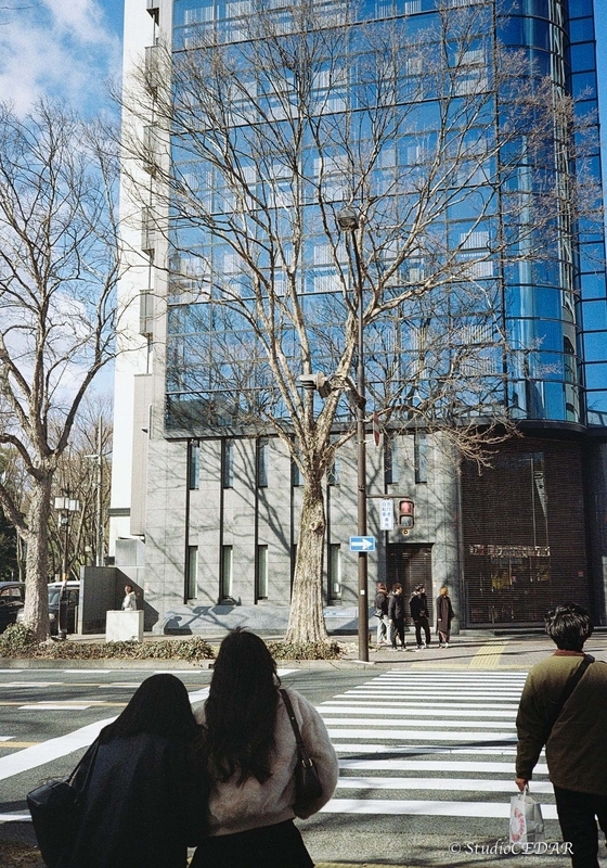 Rollei35AF 作例