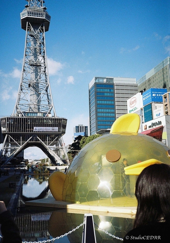 Rollei35AF 作例