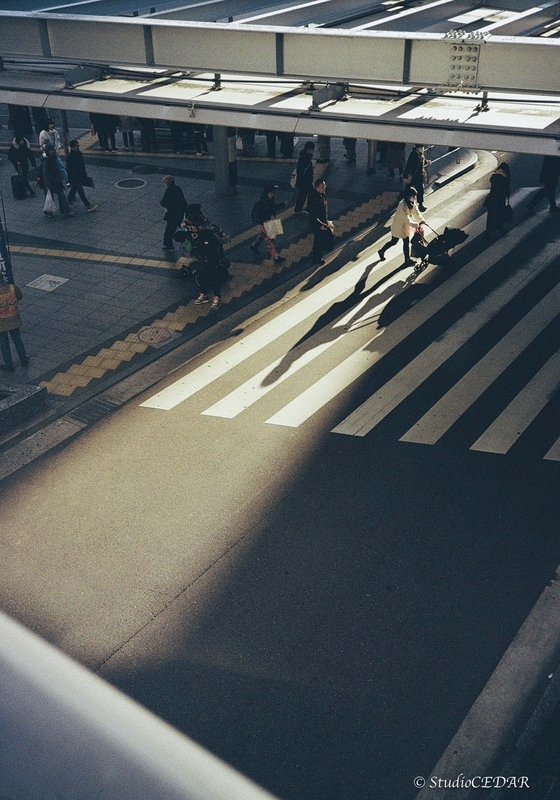 Rollei35AF 作例
