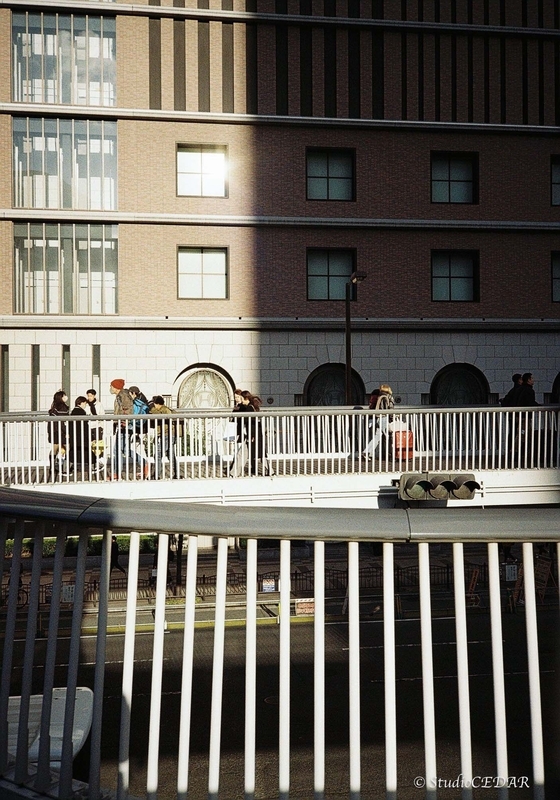 Rollei35AF 作例