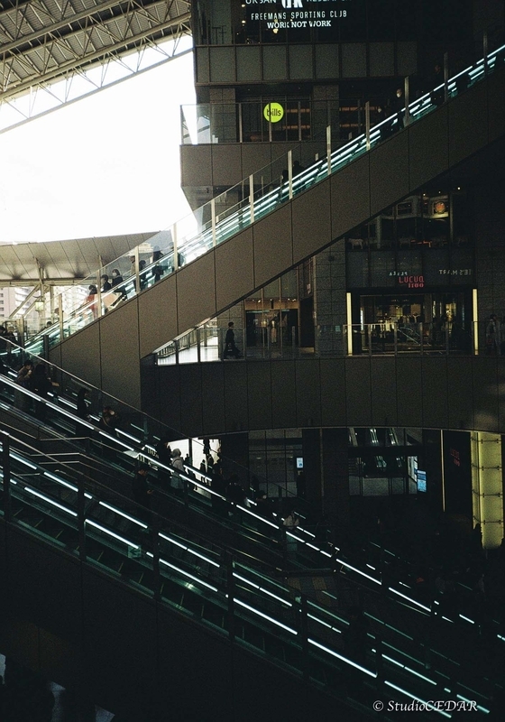 Rollei35AF 作例