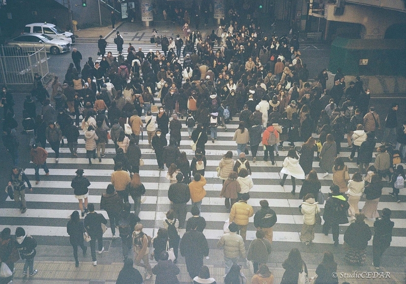 Rollei35AF 作例