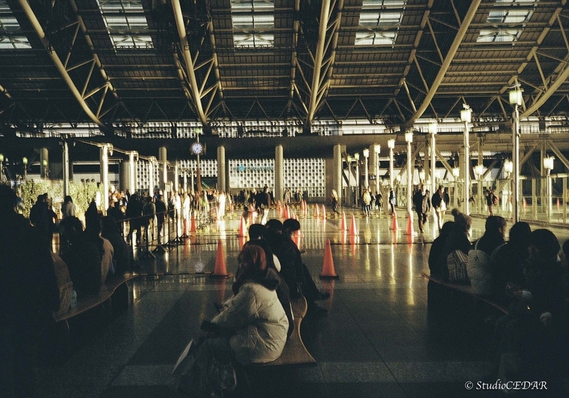 Rollei35AF 作例