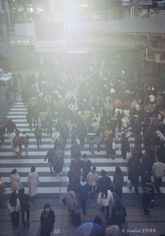 Rollei35AF 作例