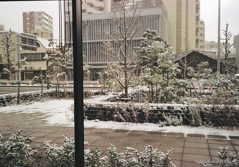 Rollei35AF 作例