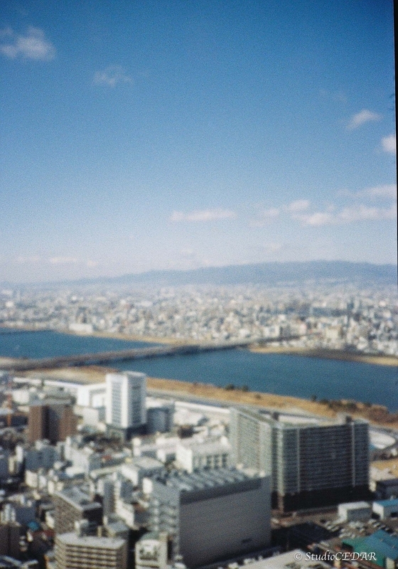 Rollei35AF 作例