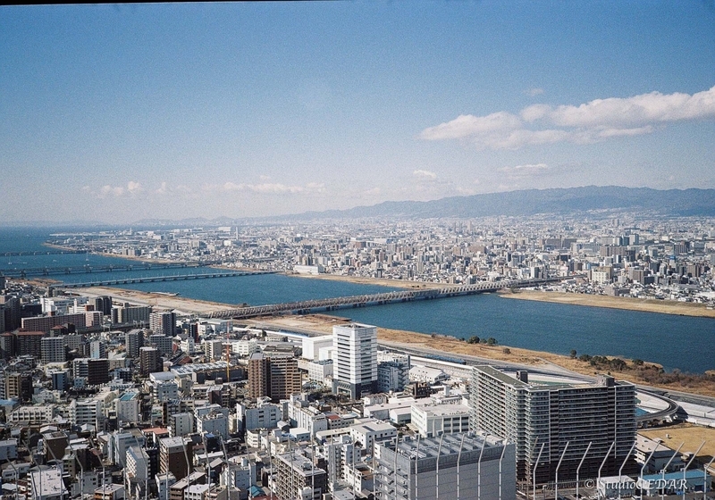 Rollei35AF 作例