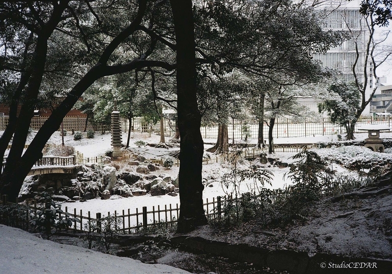 Rollei35AF 作例