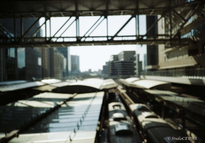 Rollei35AF 作例