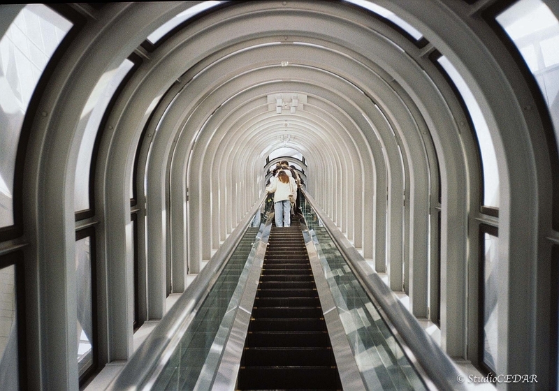 Rollei35AF 作例