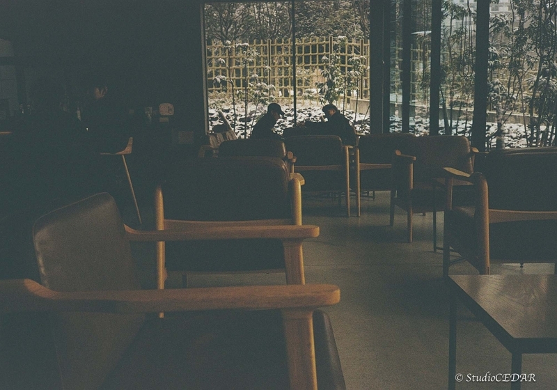 Rollei35AF 作例