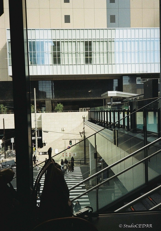 Rollei35AF 作例