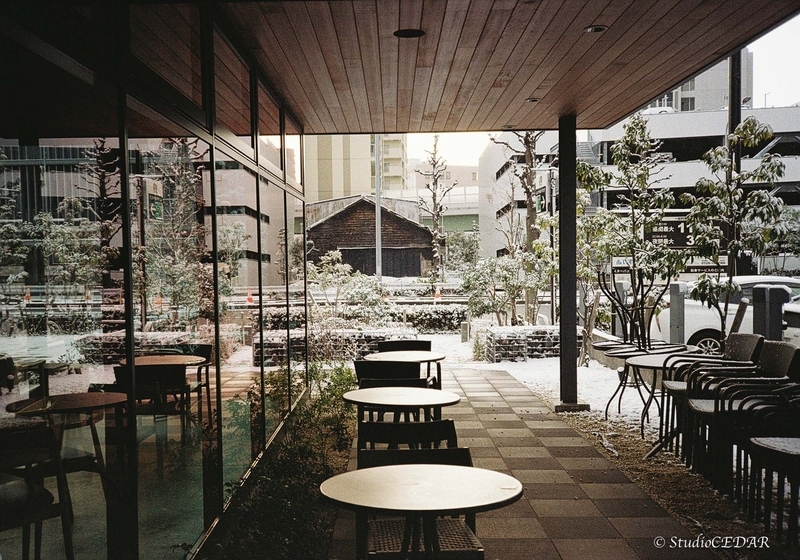 Rollei35AF 作例