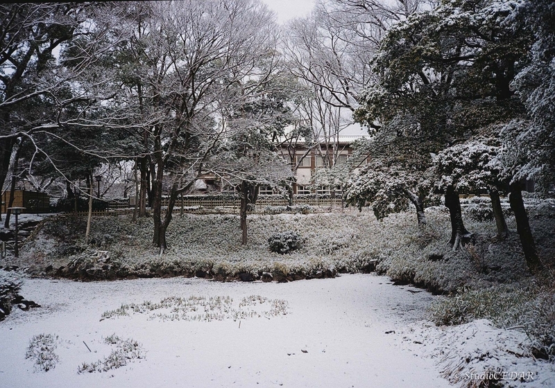 Rollei35AF 作例