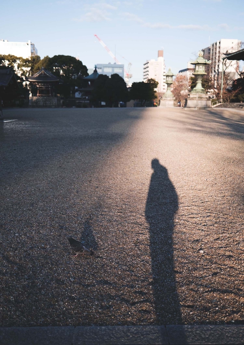 かんたん写真集