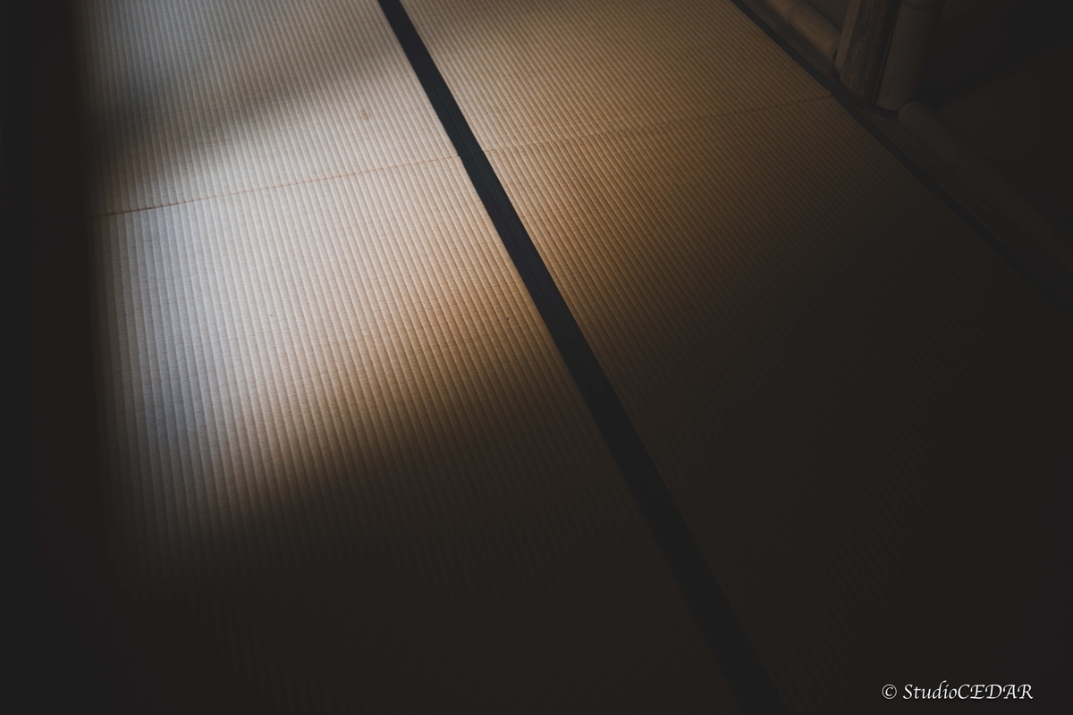 leica M10 作例