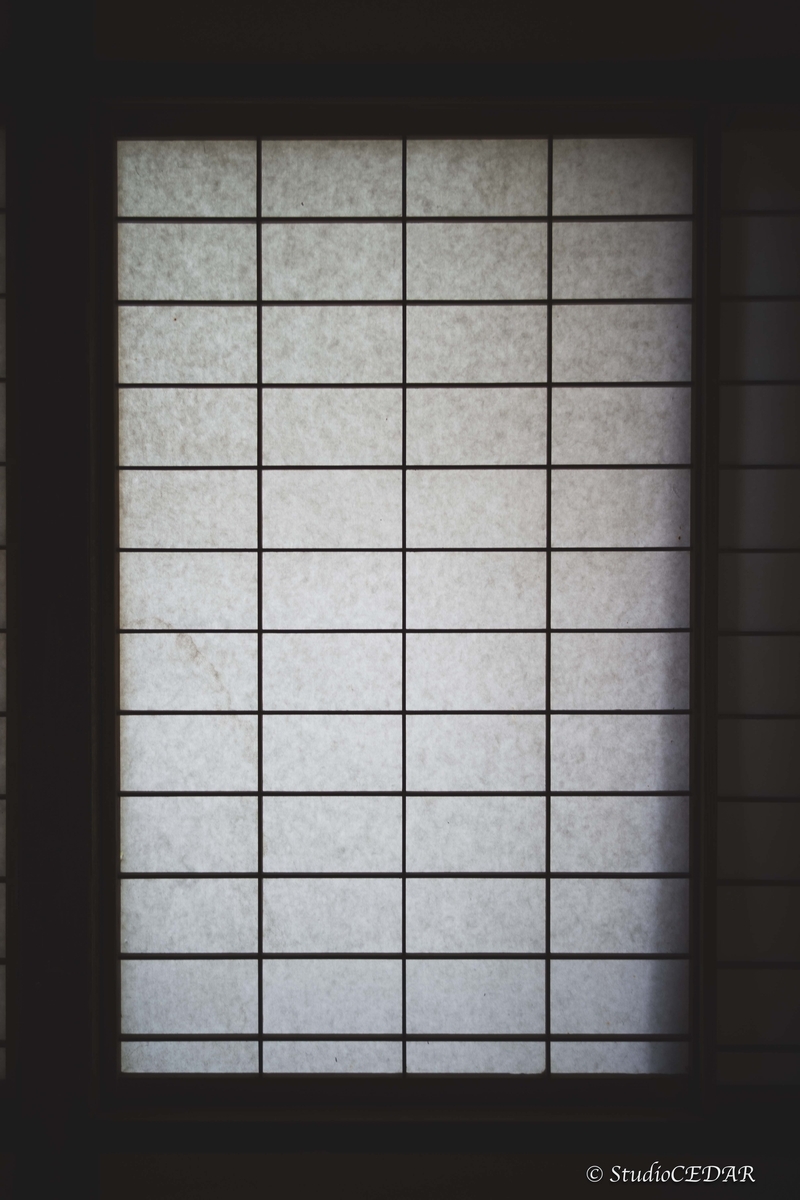 leica M10 作例