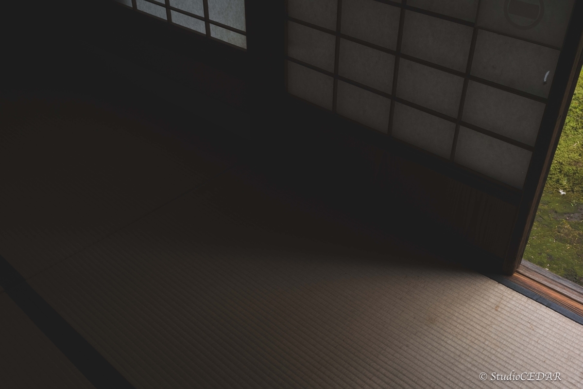 leica M10 作例