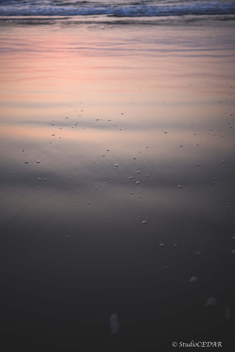 leica M10 作例