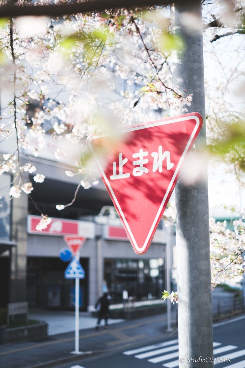 Body:FUJIFILM X-T4 Lens:FUJIFILM XF35mmF1.4R