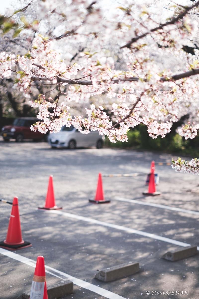 Body:FUJIFILM X-T4 Lens:FUJIFILM XF35mmF1.4R