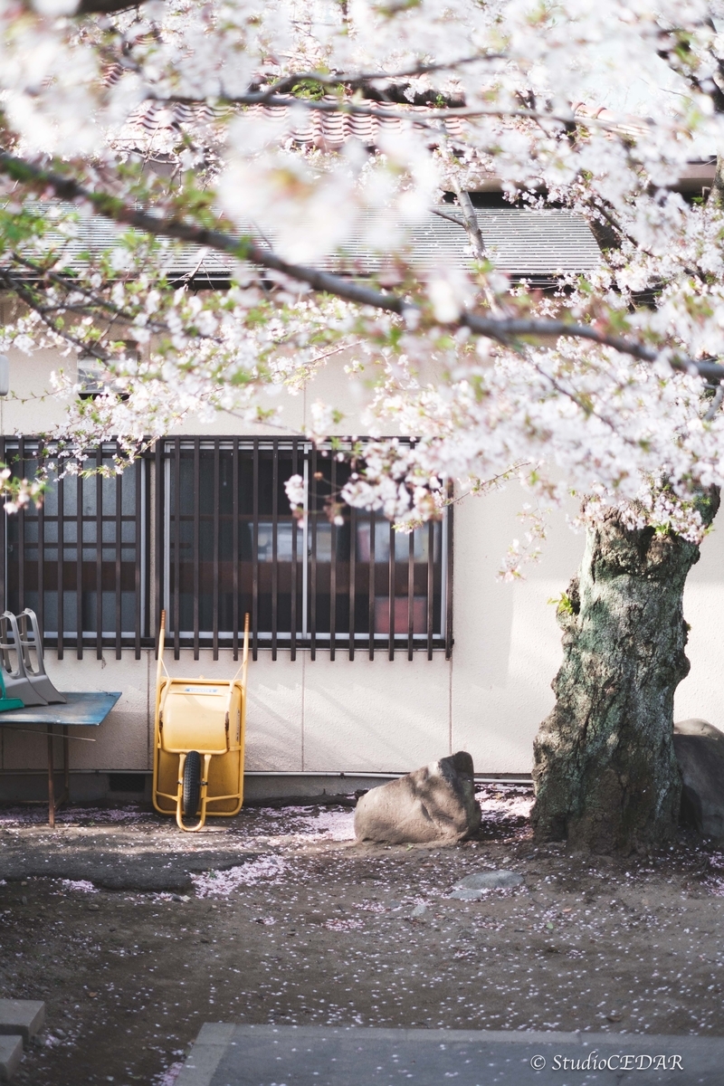 Body:FUJIFILM X-T4 Lens:FUJIFILM XF35mmF1.4R