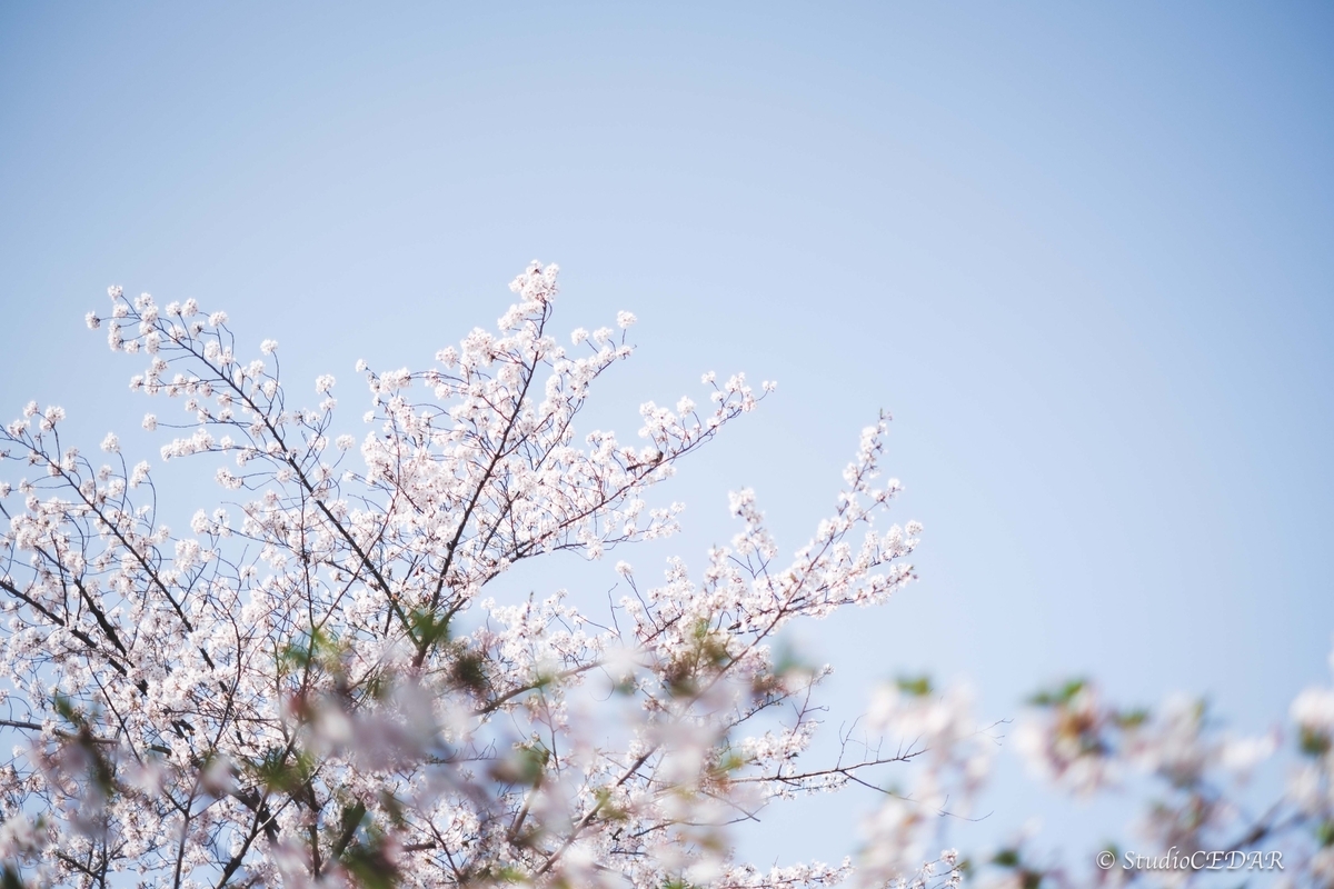 Body:FUJIFILM X-T4 Lens:FUJIFILM XF35mmF1.4R