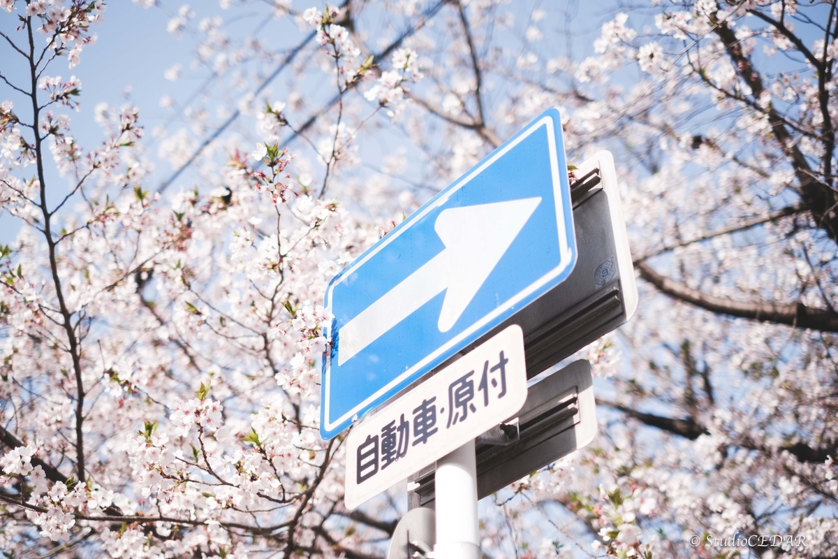 Body:FUJIFILM X-T4 Lens:FUJIFILM XF35mmF1.4R