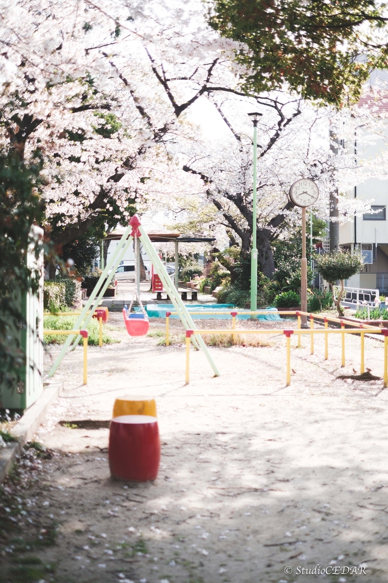 Body:FUJIFILM X-T4 Lens:FUJIFILM XF35mmF1.4R
