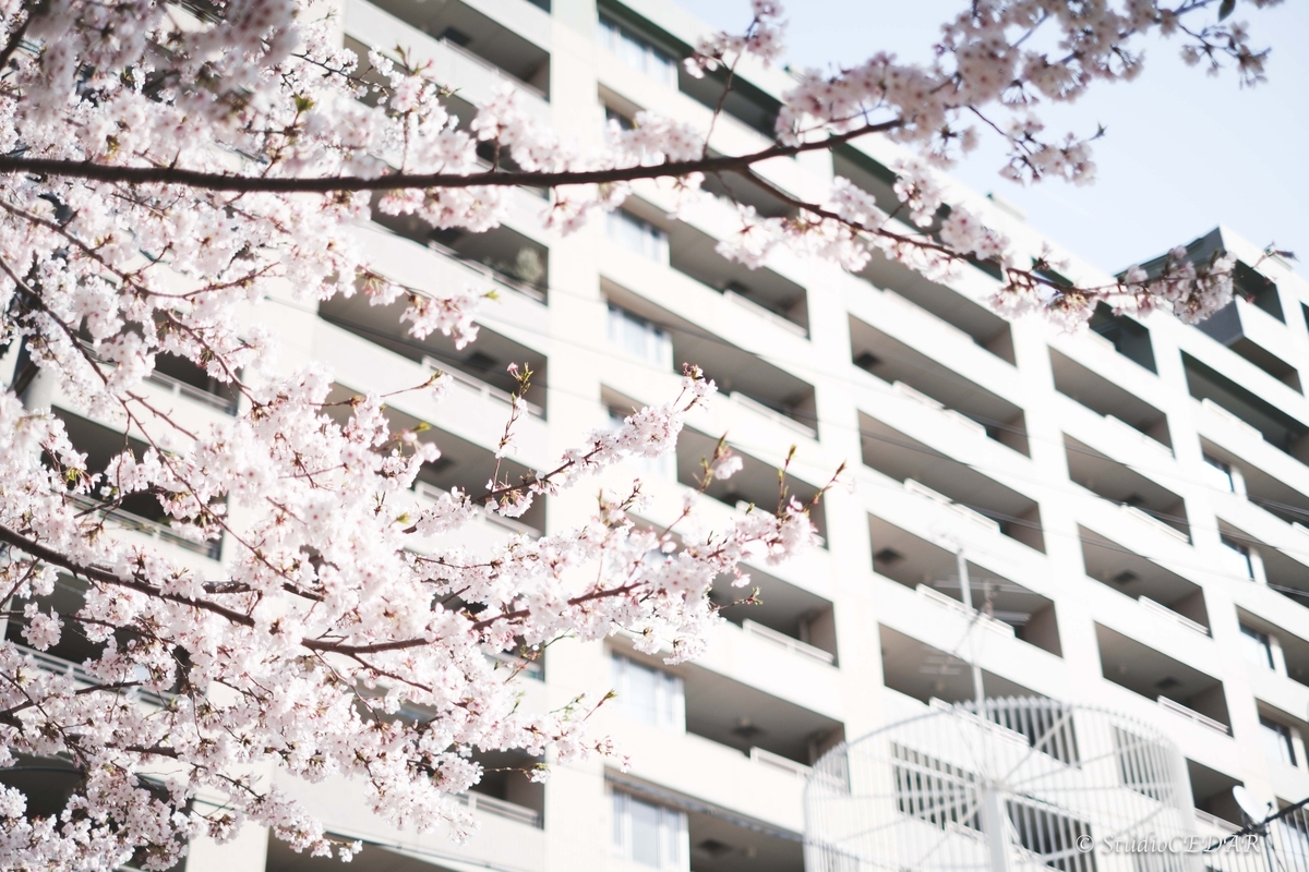 Body:FUJIFILM X-T4 Lens:FUJIFILM XF35mmF1.4R
