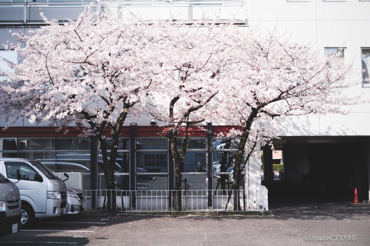 Body:FUJIFILM X-T4 Lens:FUJIFILM XF35mmF1.4R