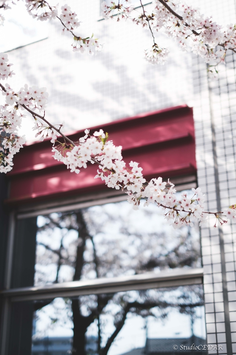 Body:FUJIFILM X-T4 Lens:FUJIFILM XF35mmF1.4R
