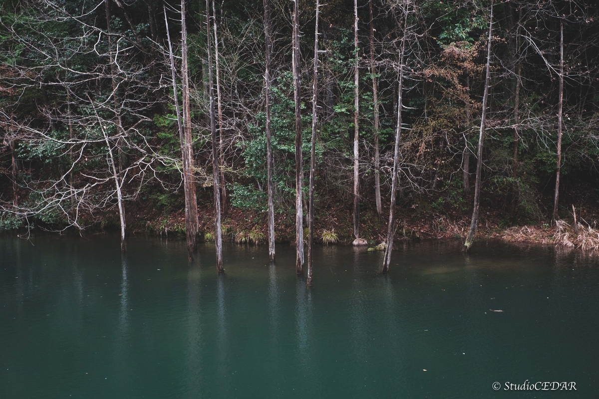 Body:FUJIFILM X-T4 Lens:FUJIFILM XF35mmF1.4R
