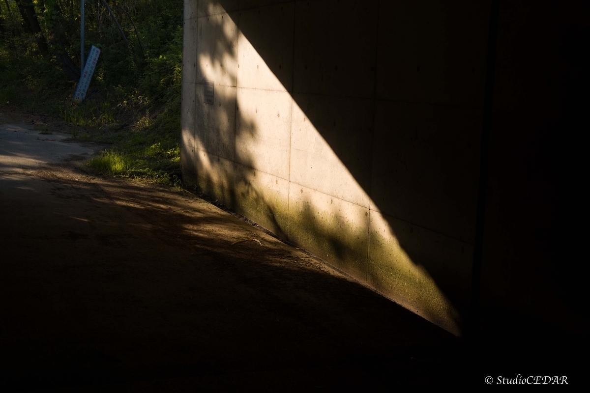 Body:Leica M10 Lens:Summilux 50mm F1.4 ASPH. 4th