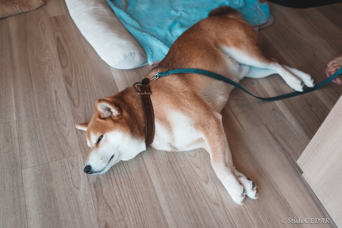 SONY RX1R3 RX1RⅢ 作例